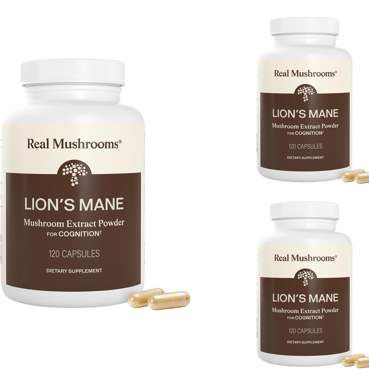 Real Mushrooms Lion's Mane Mushroom Extract Powder - 120 Capsules