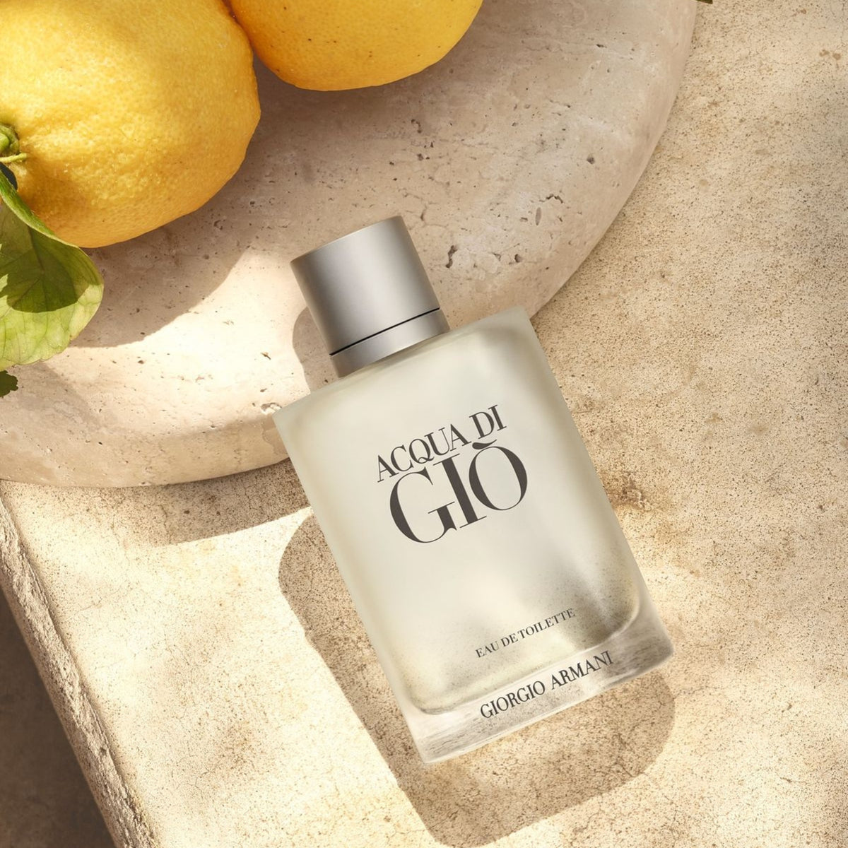 Giorgio Armani Acqua Di Gio Eau de Toilette 100ml