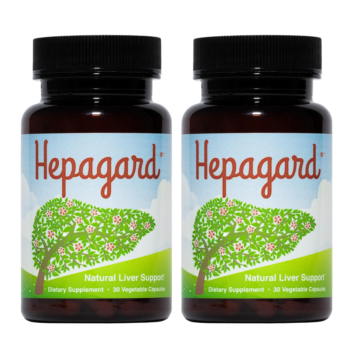 Hepagard Natural Liver Support Supplement (30 Vegetable Capsules)