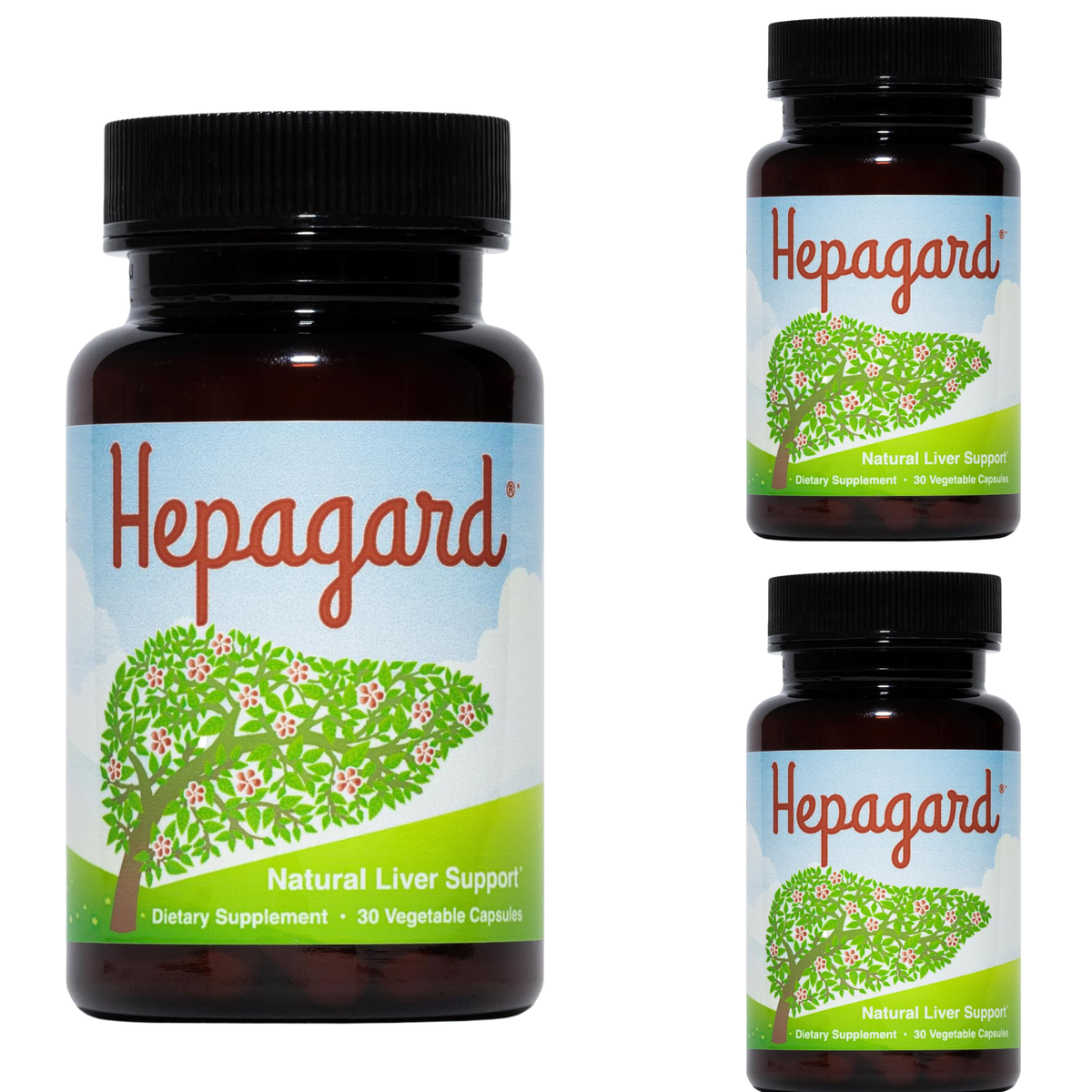 Hepagard Natural Liver Support Supplement (30 Vegetable Capsules)